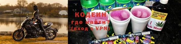 крисы Белокуриха