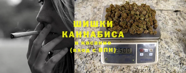 крисы Белокуриха