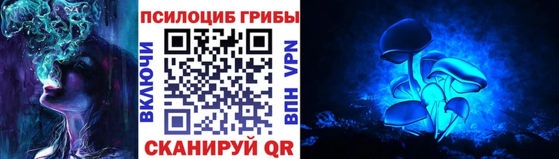 это клад  Шарыпово  Галлюциногенные грибы прущие грибы 